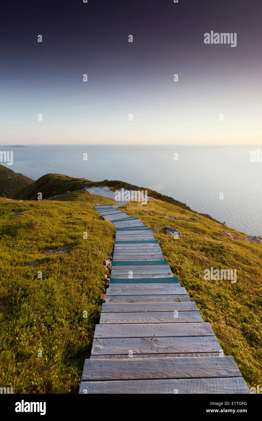 The boardwalk at the Skyline Trail look-out in Cape Breton Highlands National Park Nova Scotia was built to keep hikers Stock Photo