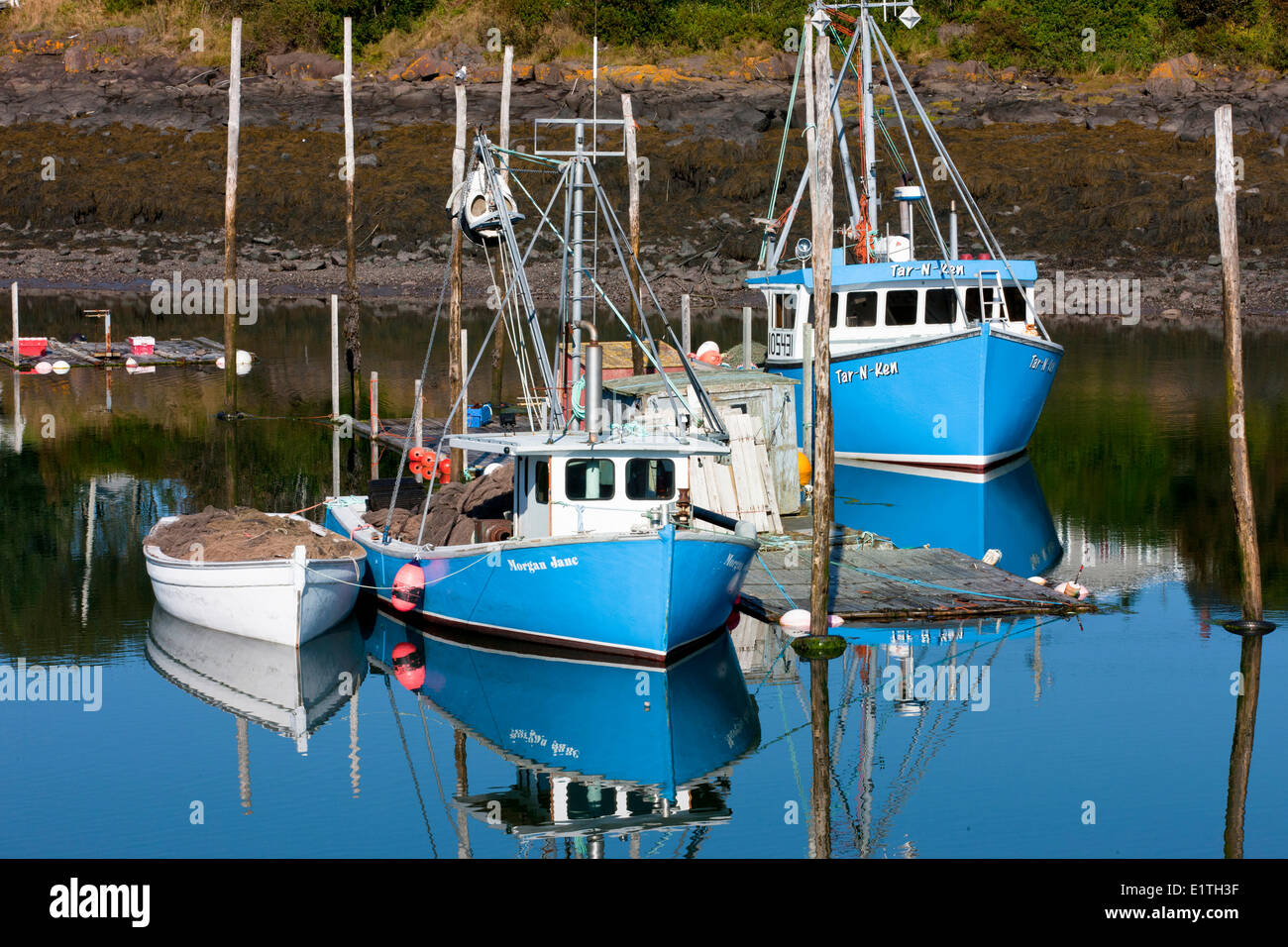 Fishing boats tied up at Seal Cove Harbour, Grand Manan Island, Bay of Fundy, New Brunswick, Canada Stock Photo