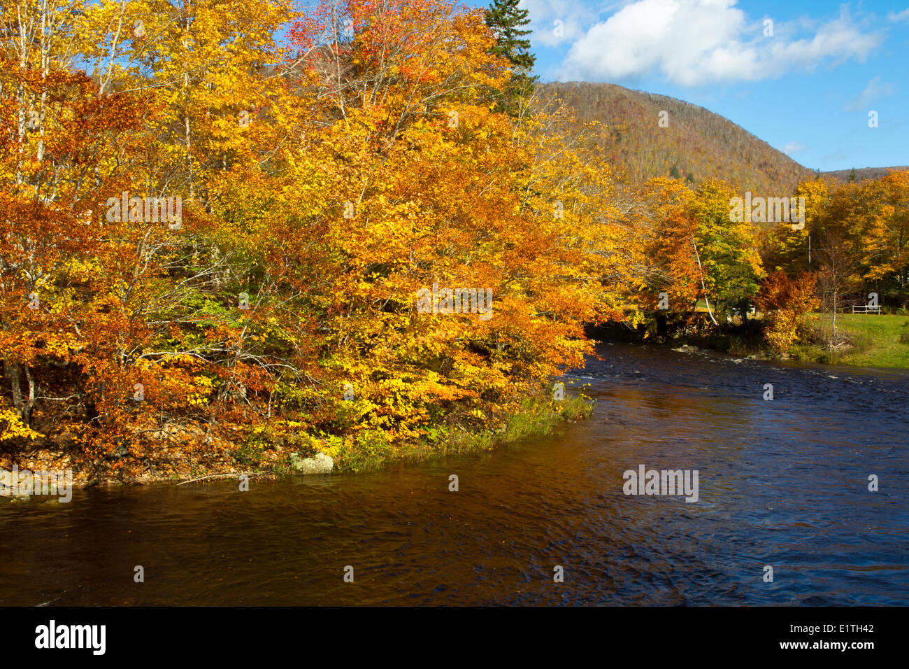 Margaree river valley hires stock photography and images Alamy