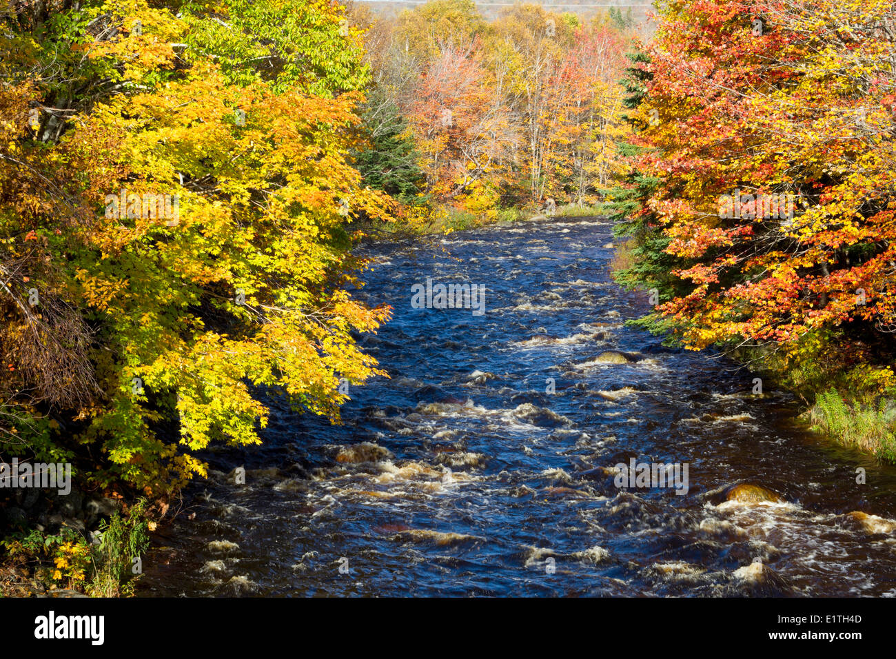 Fall river nova scotia hires stock photography and images Alamy