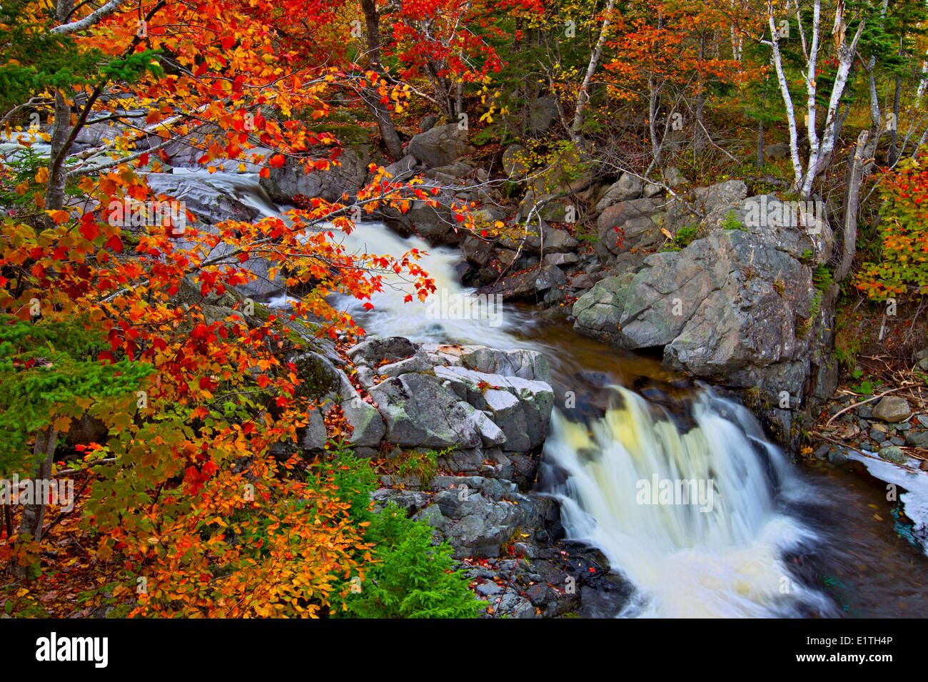 Waterfalls, Morrison Brook, Cape Breton, Nova Scotia, Canada Stock Photo
