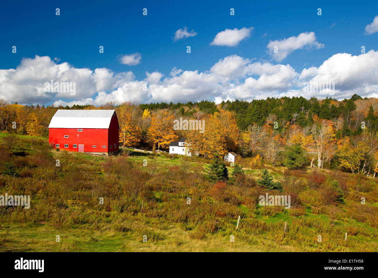 Red barn, Maxwell Road, Pictou County, Nova Scotia, Canada Stock Photo