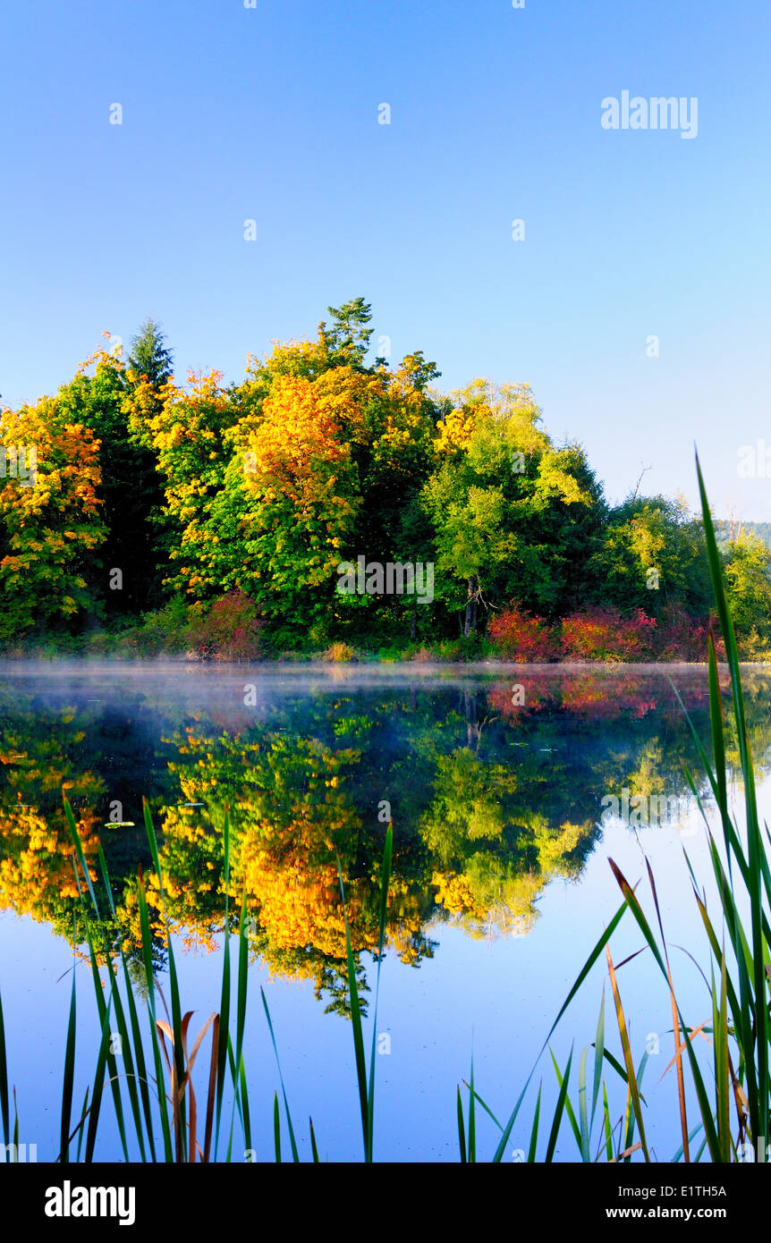 Fall colours reflect off the trees on Dougan Lake near Cobble Hill, BC. Stock Photo