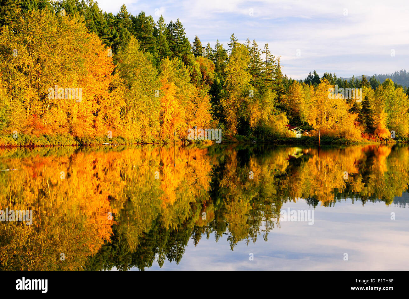 A Cabin Sits On The Shoreline And Fall Colours In The Trees