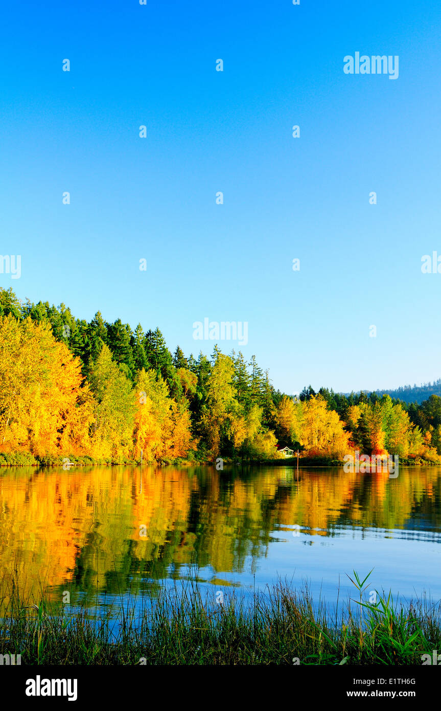 A Cabin Sits On The Shoreline And Fall Colours In The Trees