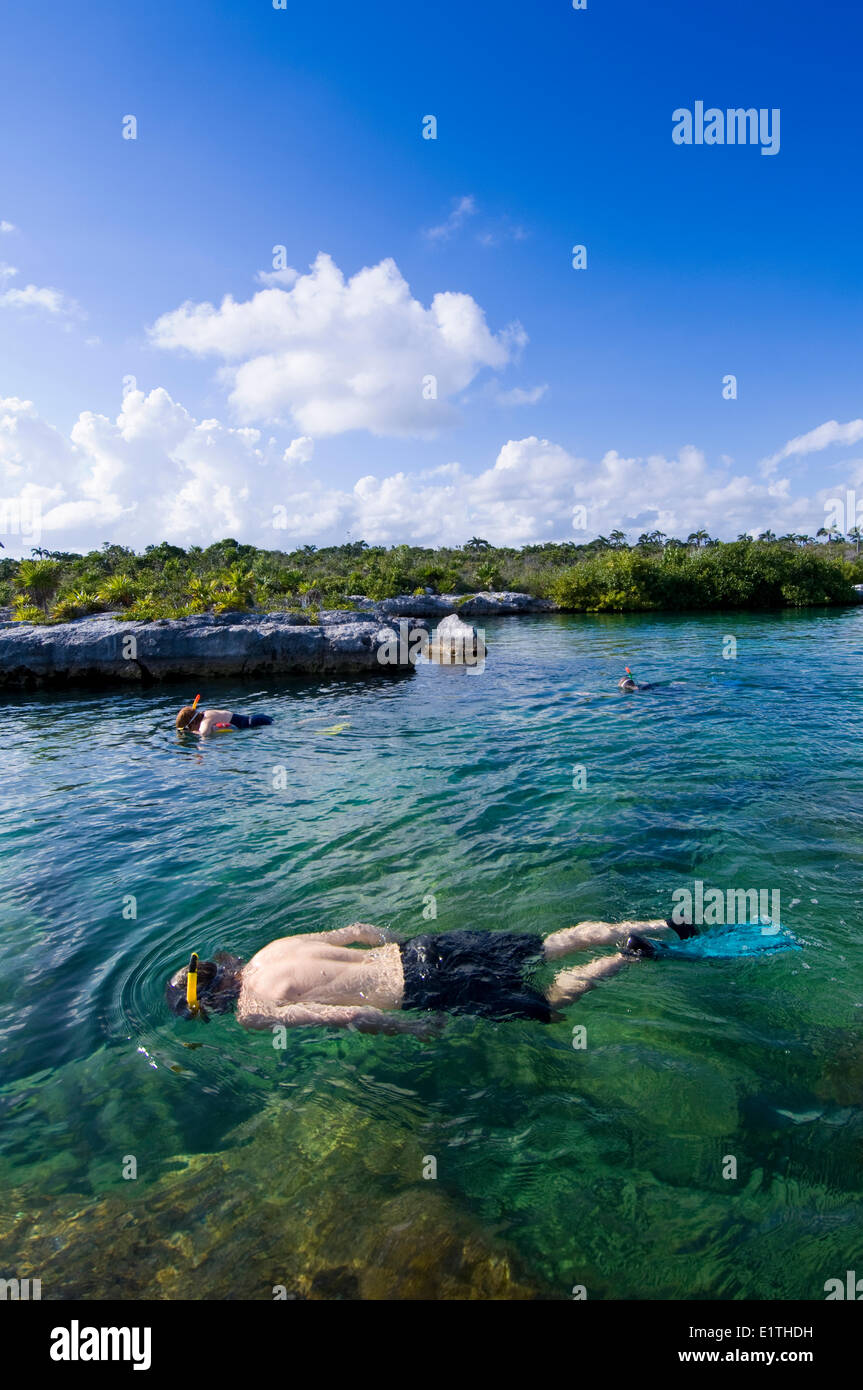 Akumal snorkeling hires stock photography and images Alamy