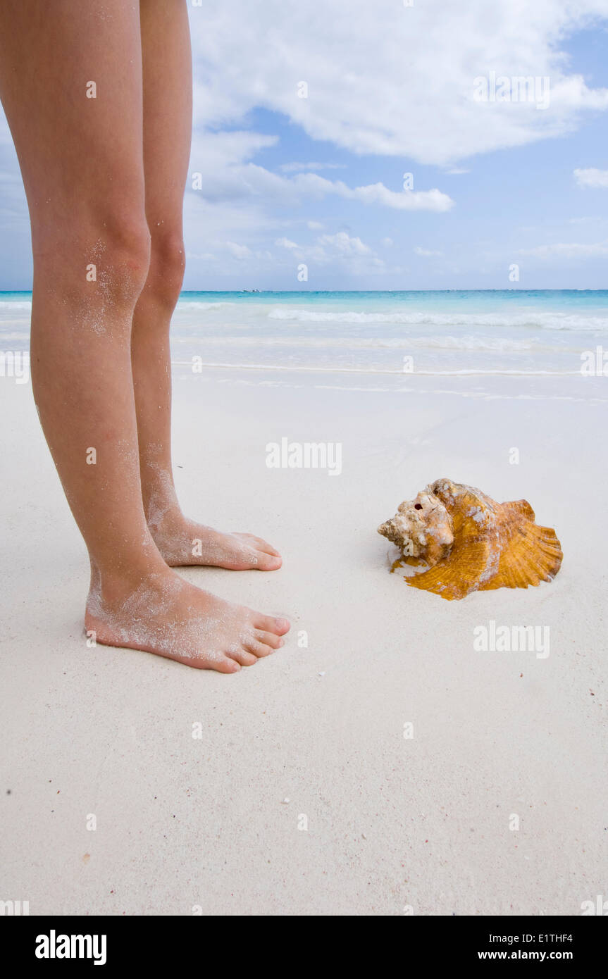 Legs and Conch shell washed up on Tulum Beach, Quintana Roo, Mexico ...