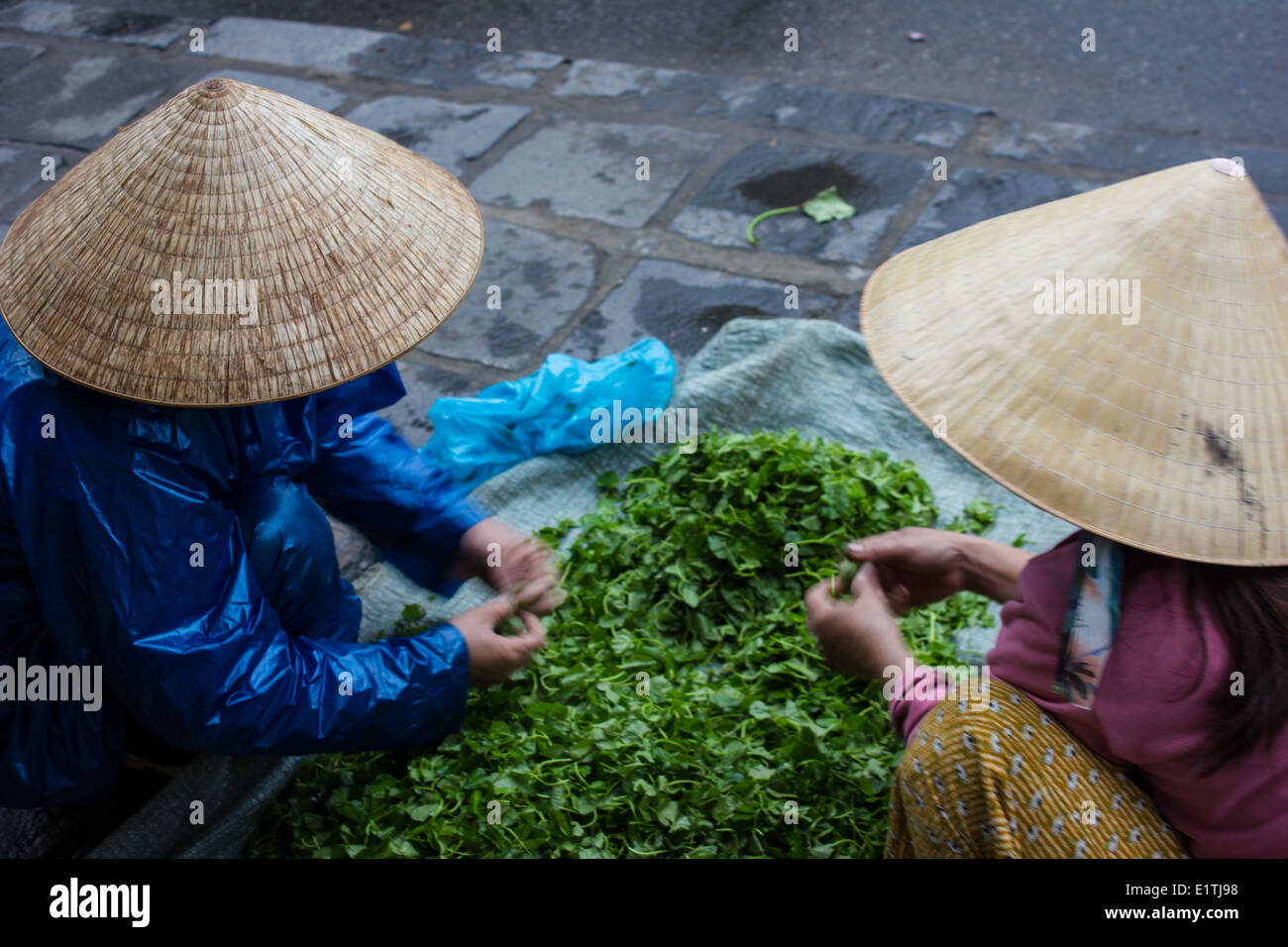 Vietnam food market coriander herbs hires stock photography and images