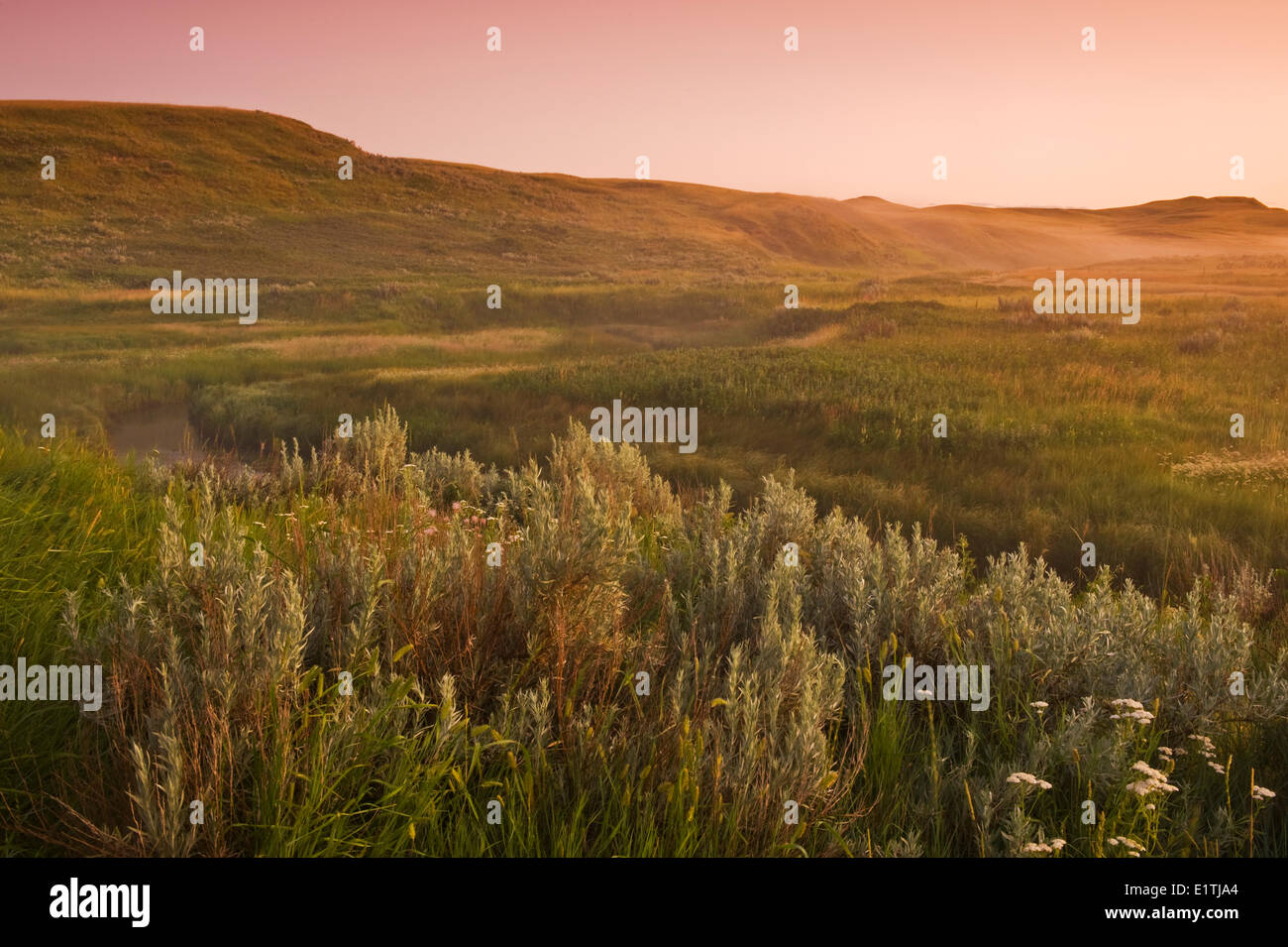 East Block, Grasslands National Park, Saskatchewan, Canada Stock Photo