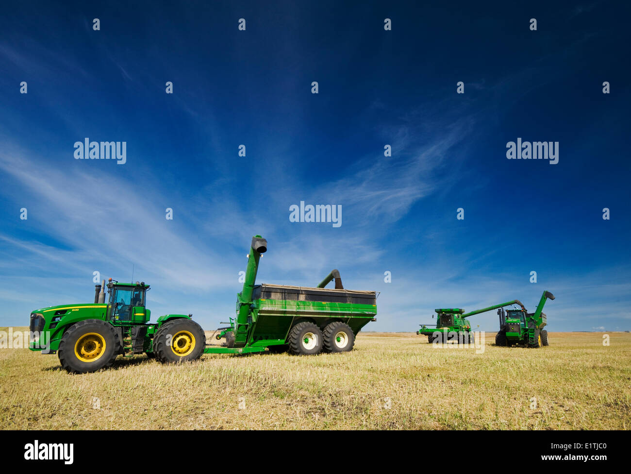 combine harvesters unload into grain wagons during the canola harvest, near Kamsack, Saskatchewan, Canada Stock Photo