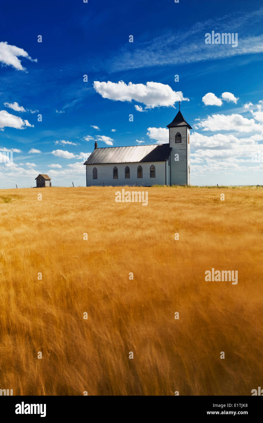 mature harvest ready durum wheat field with St. Elizabeth Roman Catholic Church in the background near Gravelburg Saskatchewan Stock Photo
