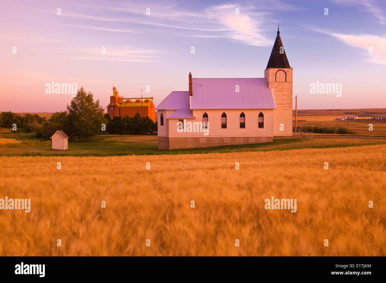 mature, harvest ready wheat field with church and grain elevator in the background, Admiral, Saskatchewan, Canada Stock Photo