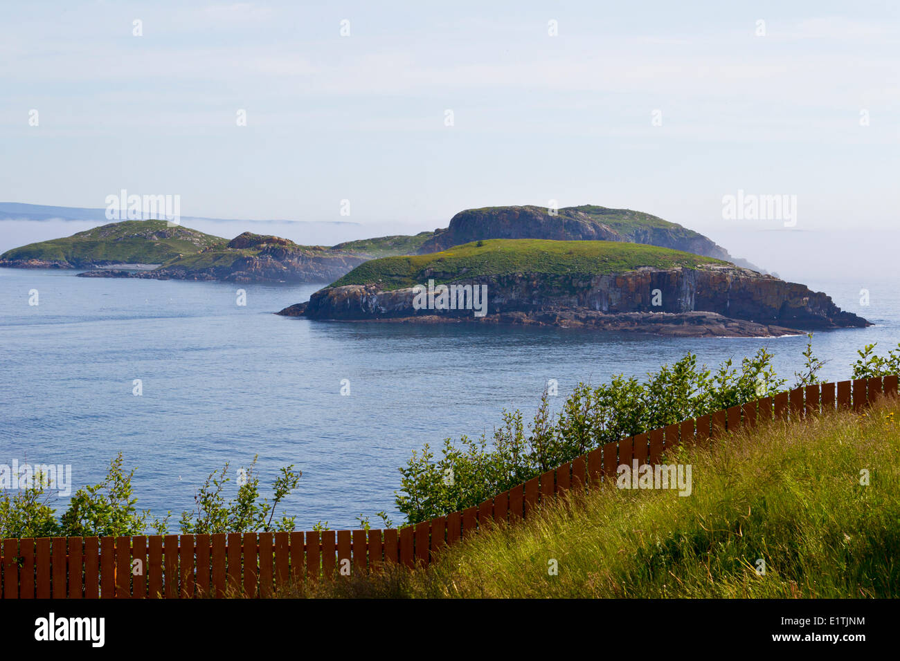 Ship Island, Witless Bay Ecological Reserve, Newfoundland, Canada Stock Photo