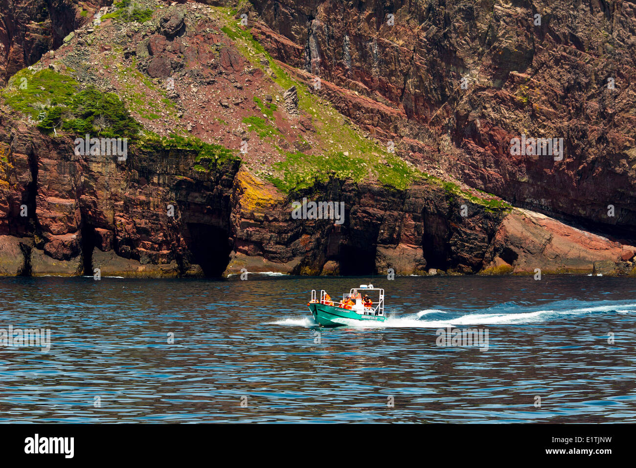 Whale watching tour boat against coastal cliffs, Witless Bay Ecological Reserve, Newfoundland