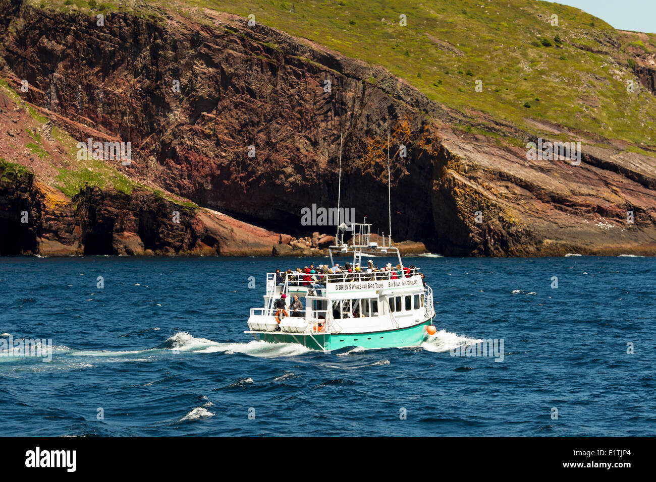 Whale watching tour boat against coastal cliffs, Witless Bay Ecological Reserve, Newfoundland