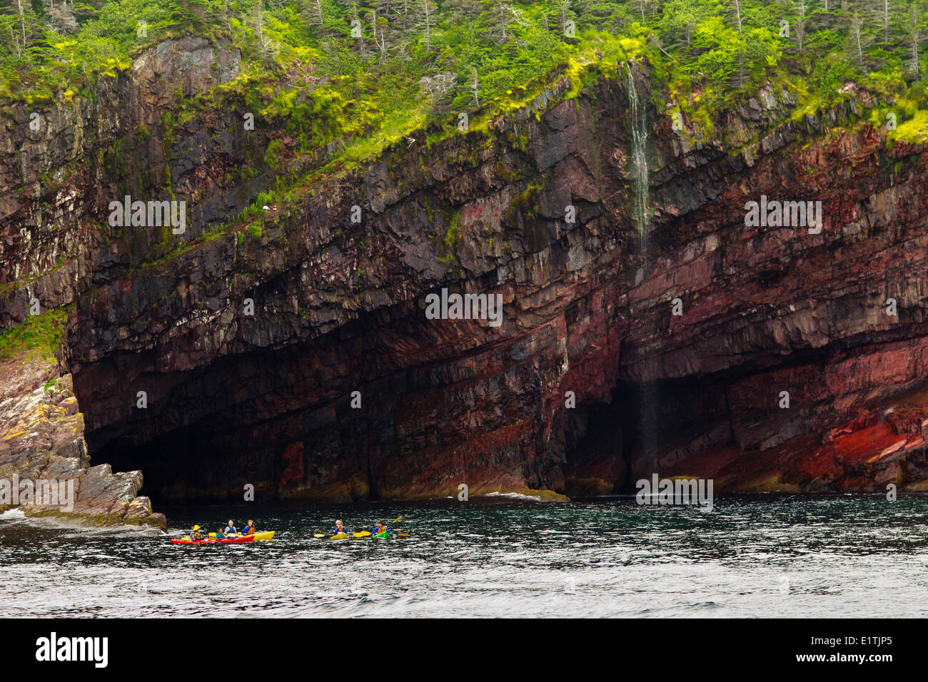 Sea Kayaking along coastal cliffs, Witless Bay Ecological Reserve, Newfoundland, Canada Stock Photo