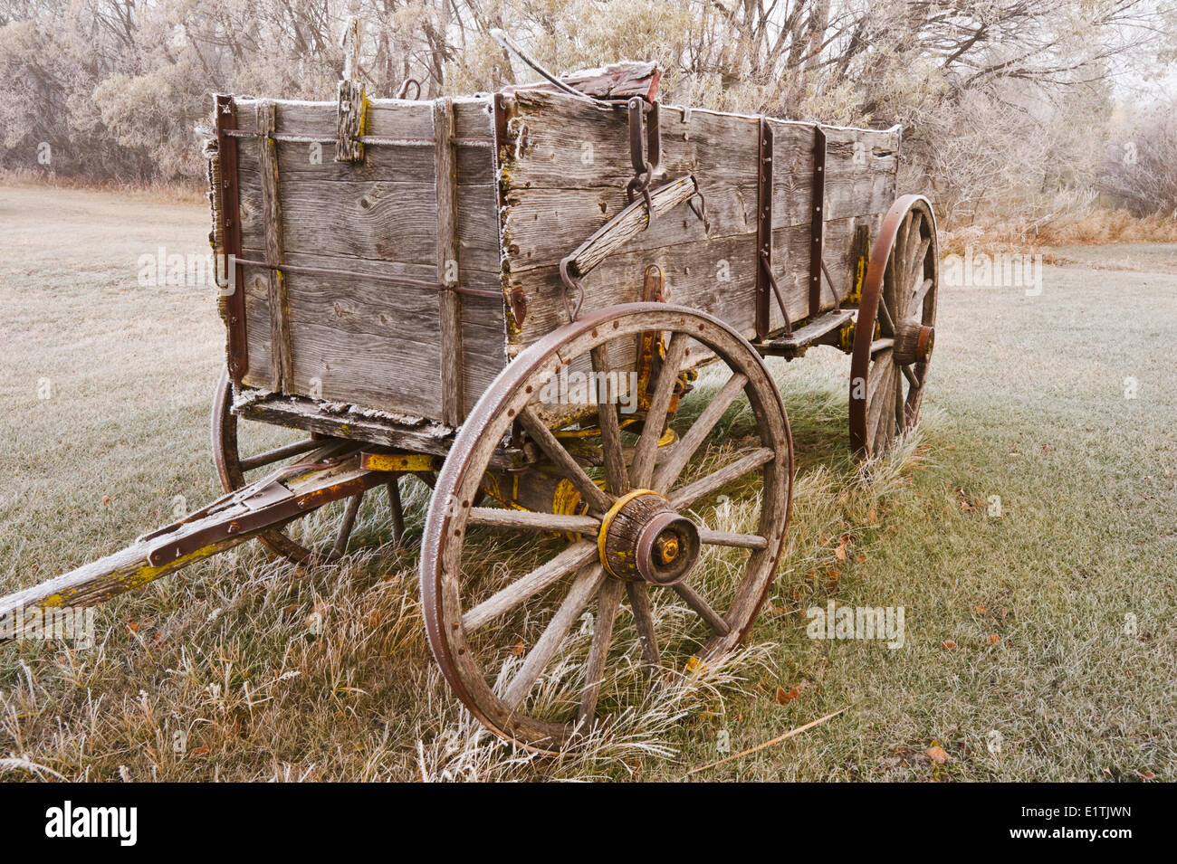 old wagon,frost covered trees, near Oakbank, Manitoba, Canada Stock Photo
