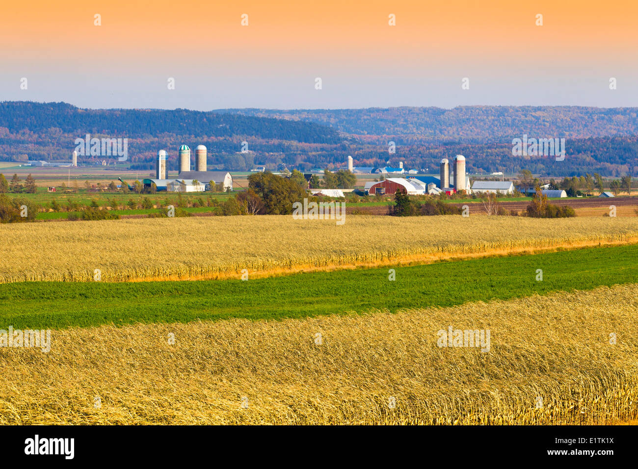Cornfields and farms, SaintDenissurRichelieu, Quebec, Canada Stock