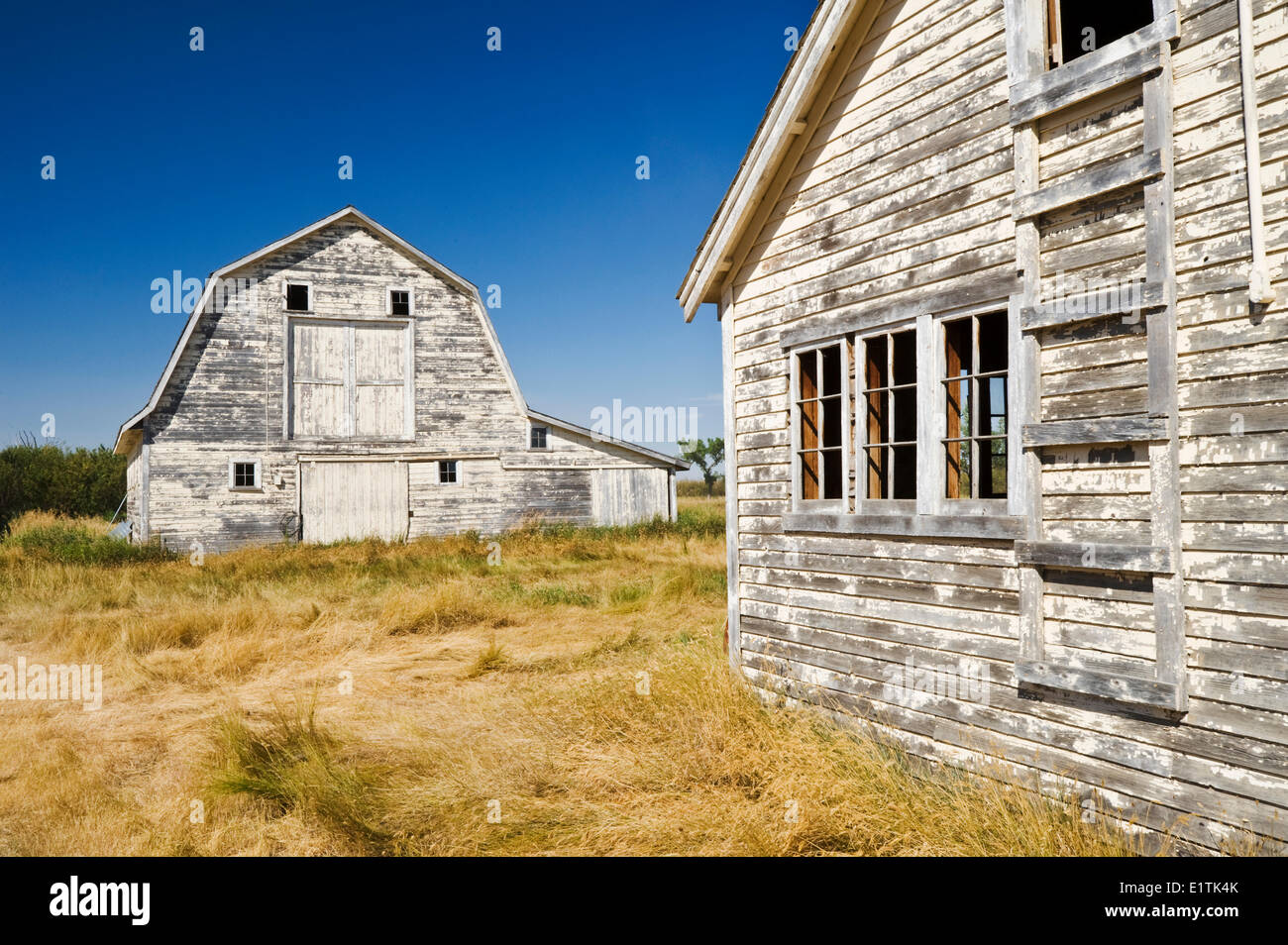 old barn near Beechy, Saskatchewan, Canada Stock Photo