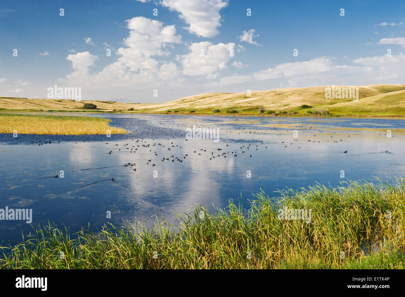 Saskatchewan landscape hi-res stock photography and images - Alamy