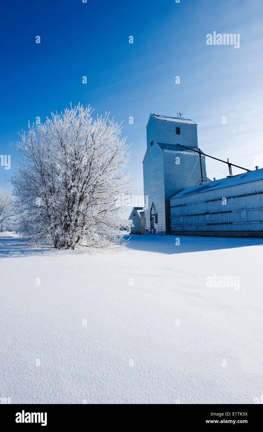 hoarfrost on trees, old grain elevator, Tyndall, Manitoba, Canada Stock