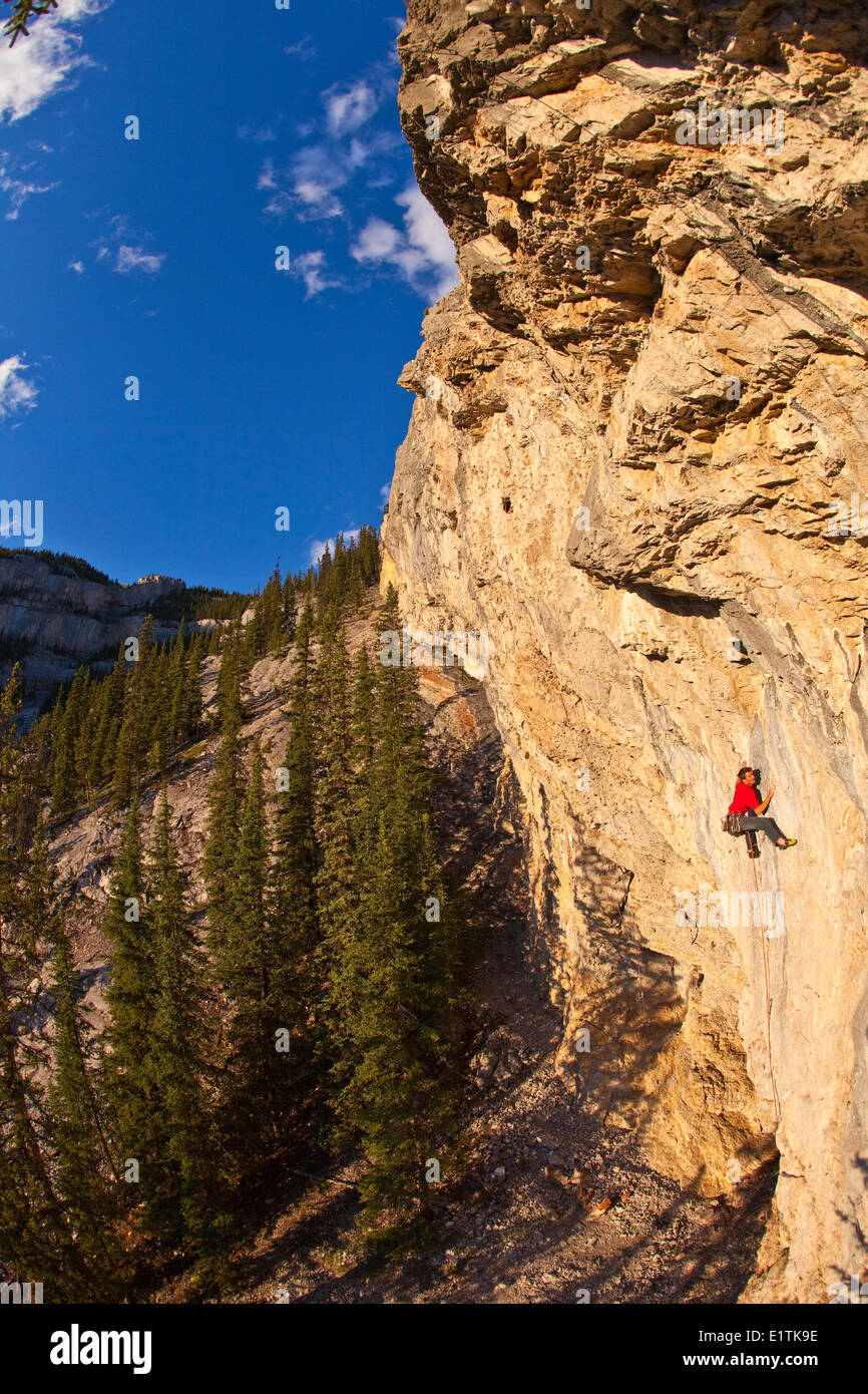 A man climbs the sport route Fire in the Sky 12b at sunset, Echo Canyon, Canmore, Alberta, Canada Stock Photo