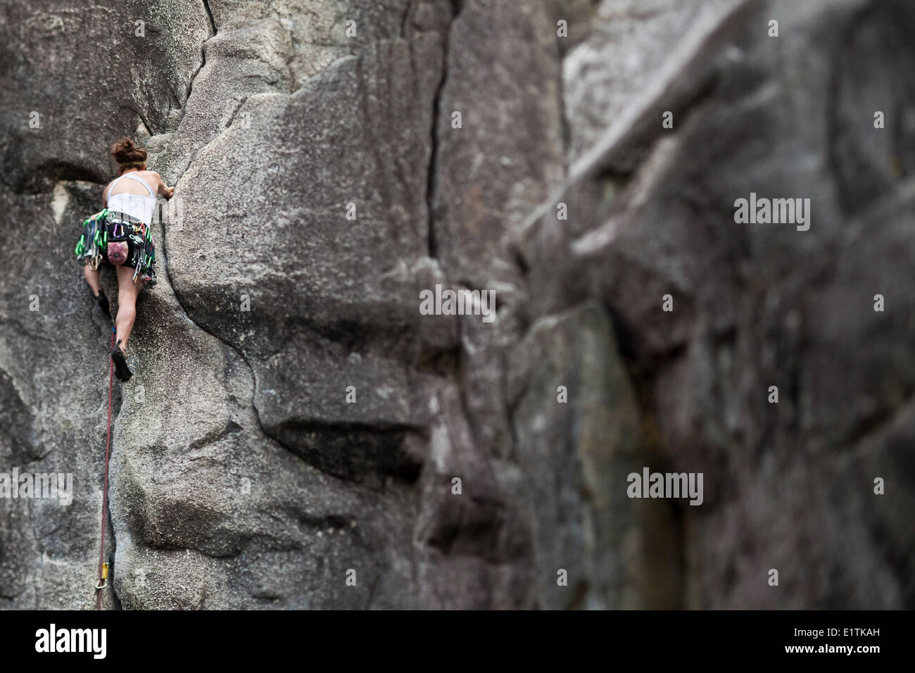 A woman crack climbing Mosquito 5.8, Squamish, BC Stock Photo
