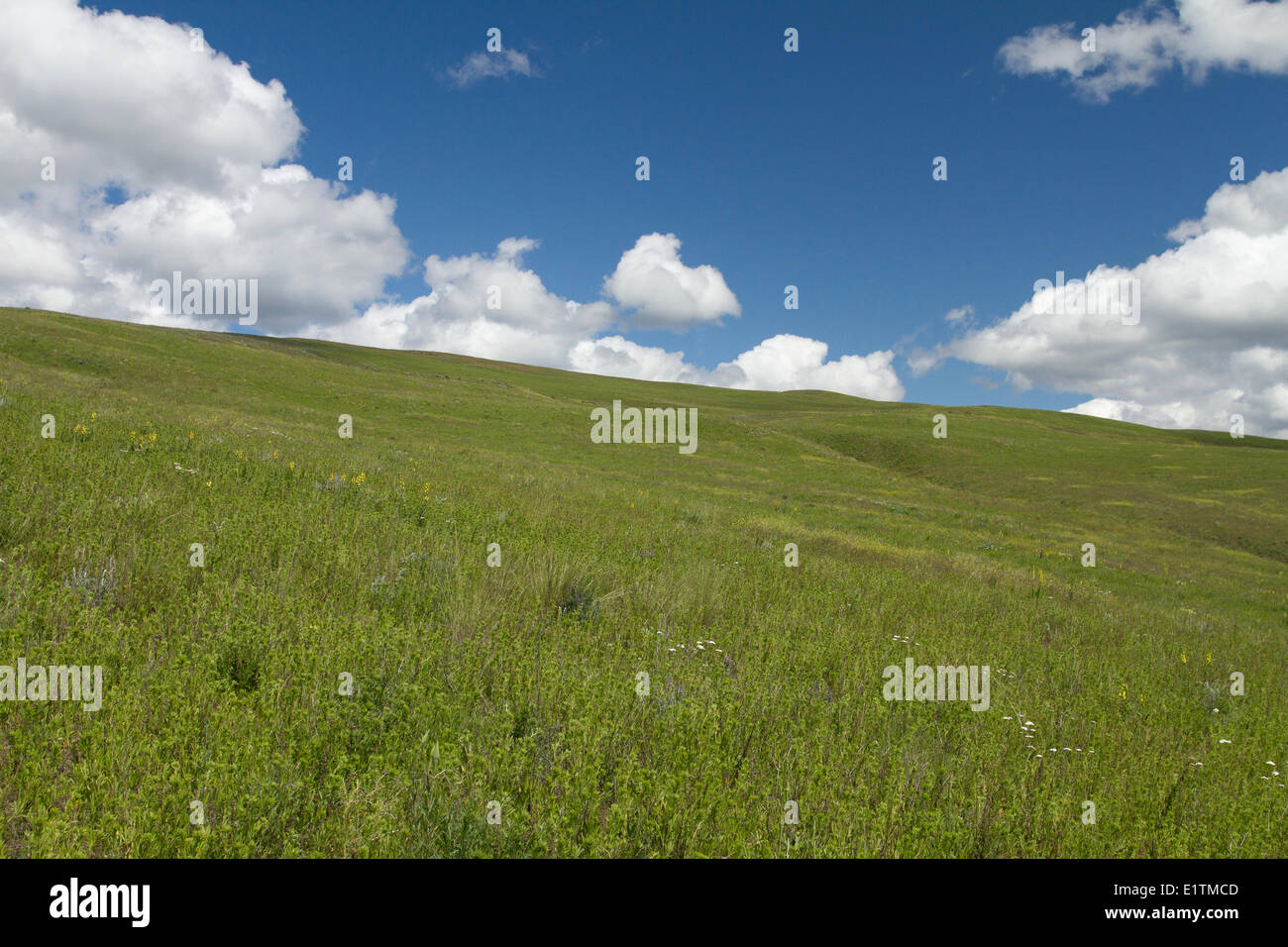 Black knight mountain vernon bc canada stock photo alamy