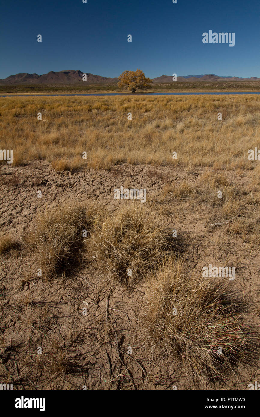 Bosque Del Apache New Mexico 2024 Events Neda Dorotea