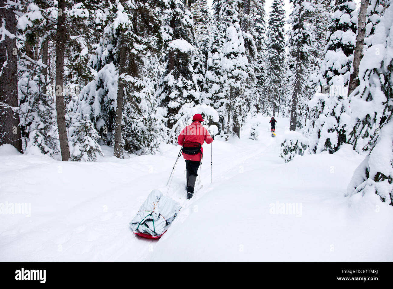 Ski touring, Back country skiing, Bowron Lake Park, British Columbia, Canada Stock Photo