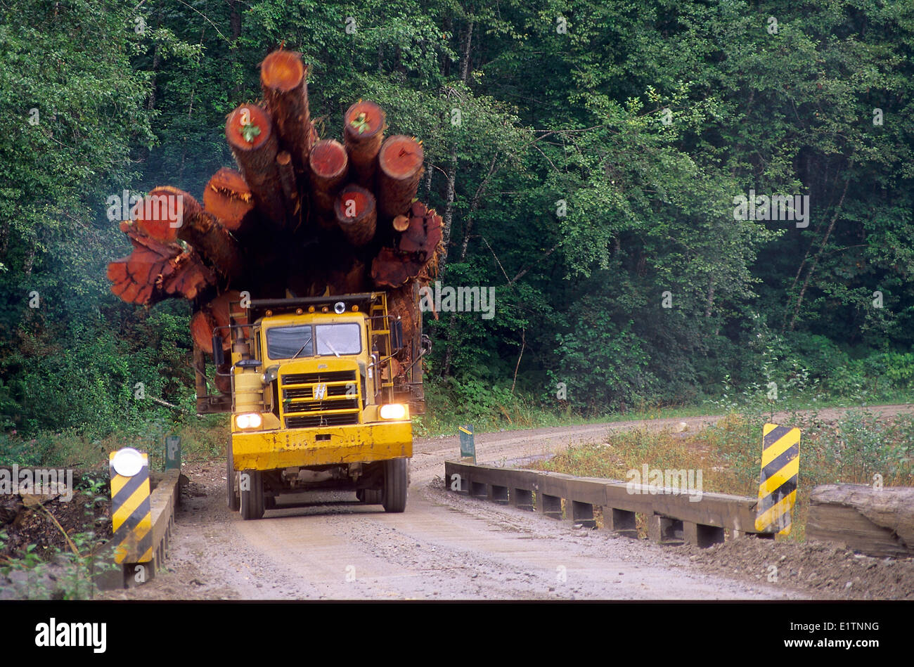 Logging Truck, Harrison Lake, BC, Canada Stock Photo