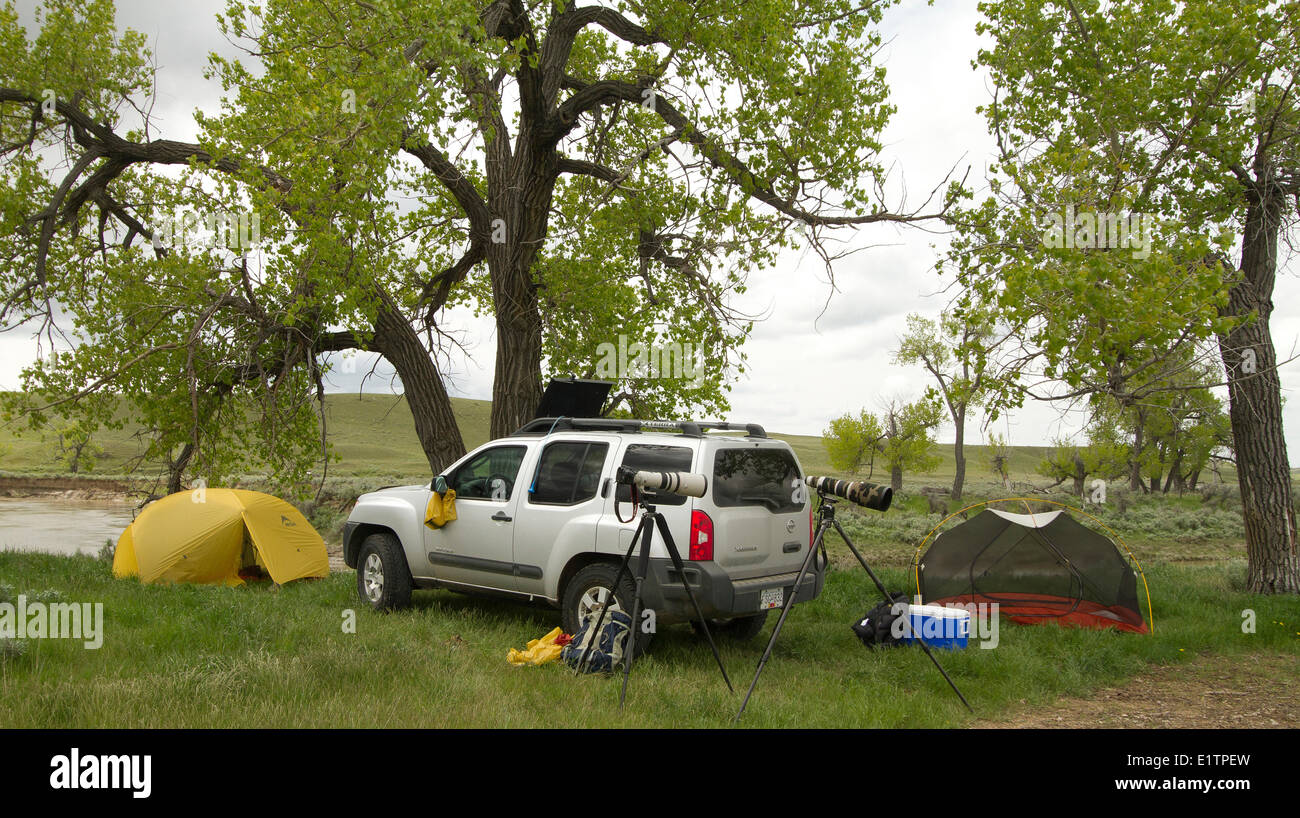 Camping, Malta River, Montana, USA Stock Photo Alamy