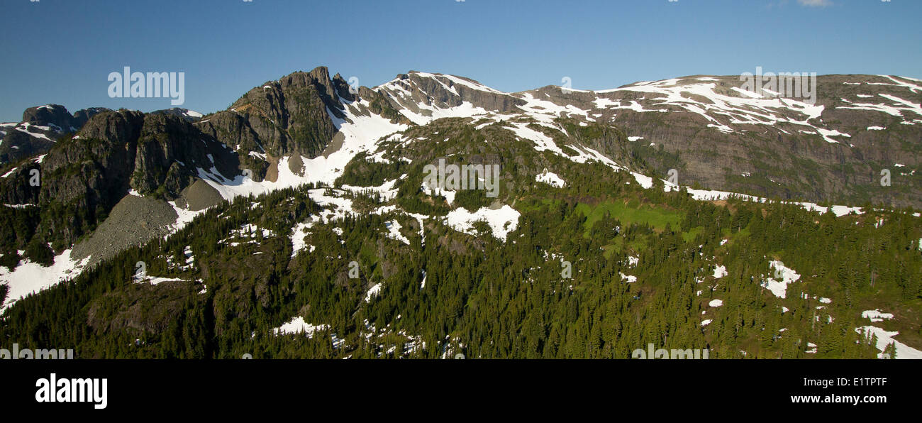 Strathcona Provincial Park, Vancouver Island, BC, Canada Stock Photo