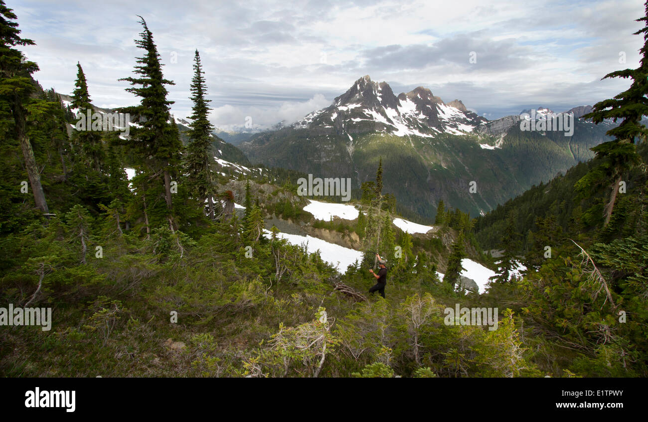 Strathcona Provincial Park, Vancouver Island, BC, Canada Stock Photo