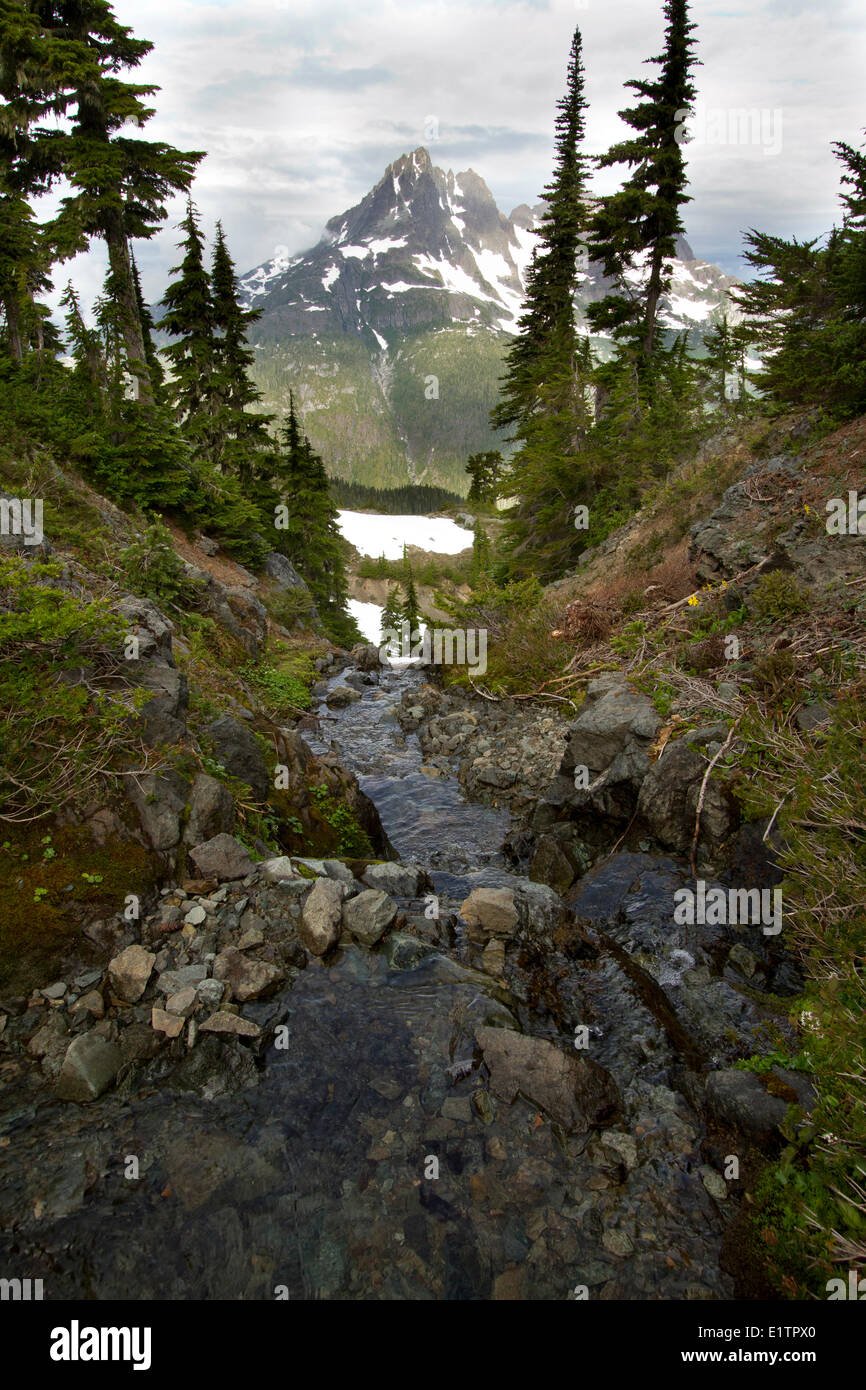 Strathcona Provincial Park, Vancouver Island, BC, Canada Stock Photo