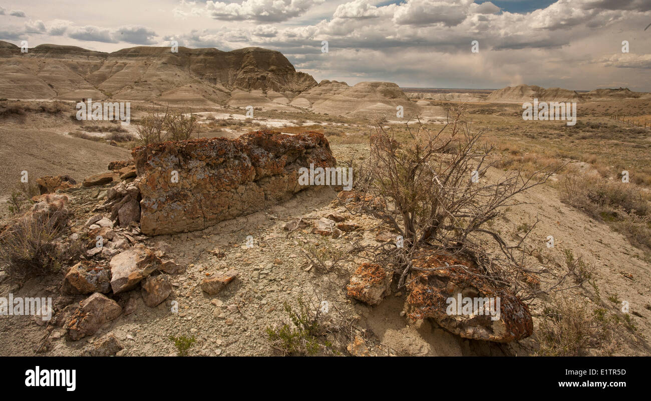 Badlands, Montana, USA Stock Photo - Alamy