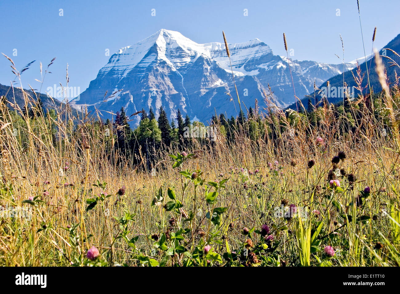 Mount Robson highest peak in the Canadian Rocky Mountains Stock Photo