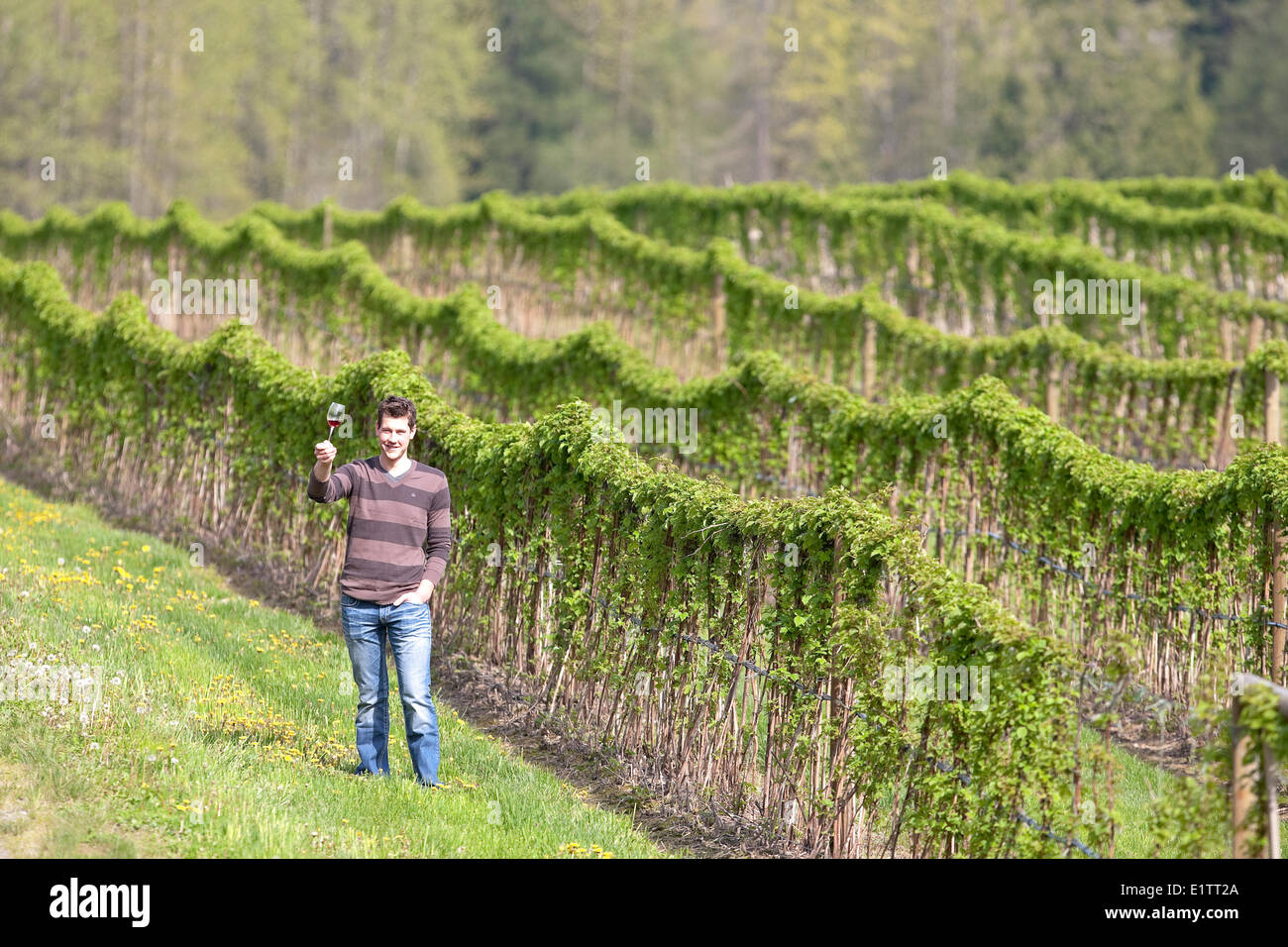 Coastal Black Estate Winery, Black Creek, The Comox Valley, Vancouver