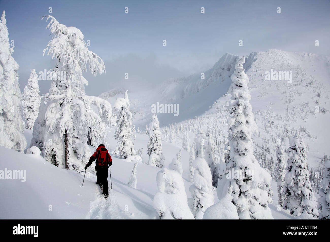 Backcountry at whitewater ski resort hires stock photography and