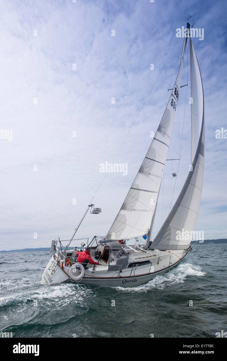 Sailboat racing, Vancouver Island, British Columbia, Canada Stock Photo