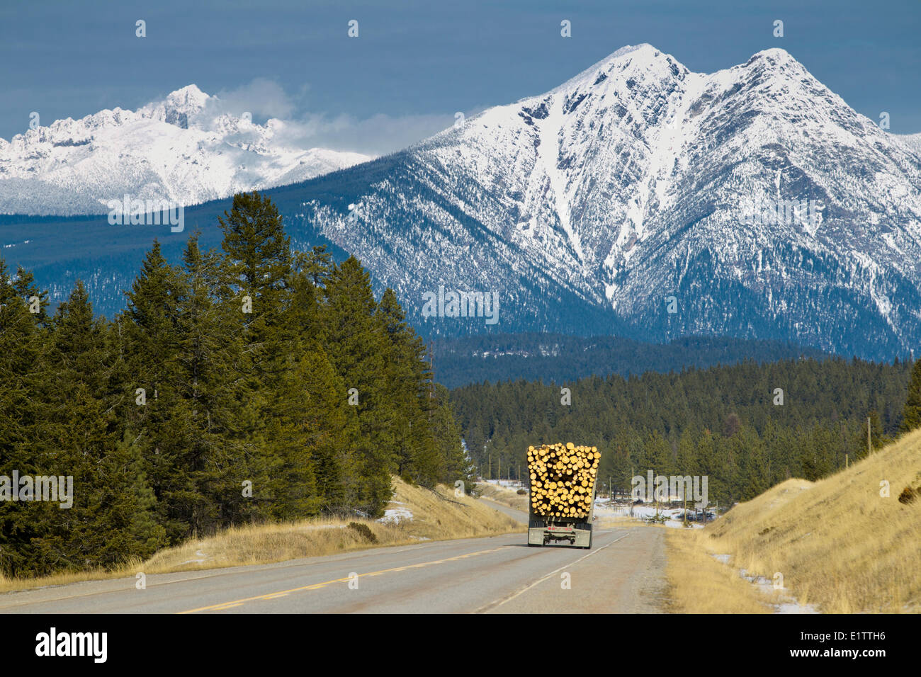 Truck hauling logs, East Kootney, British Columbia, Canada Stock Photo