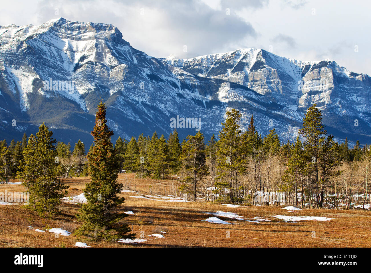 Bow Valley Provincial Park, Alberta, Canada Stock Photo