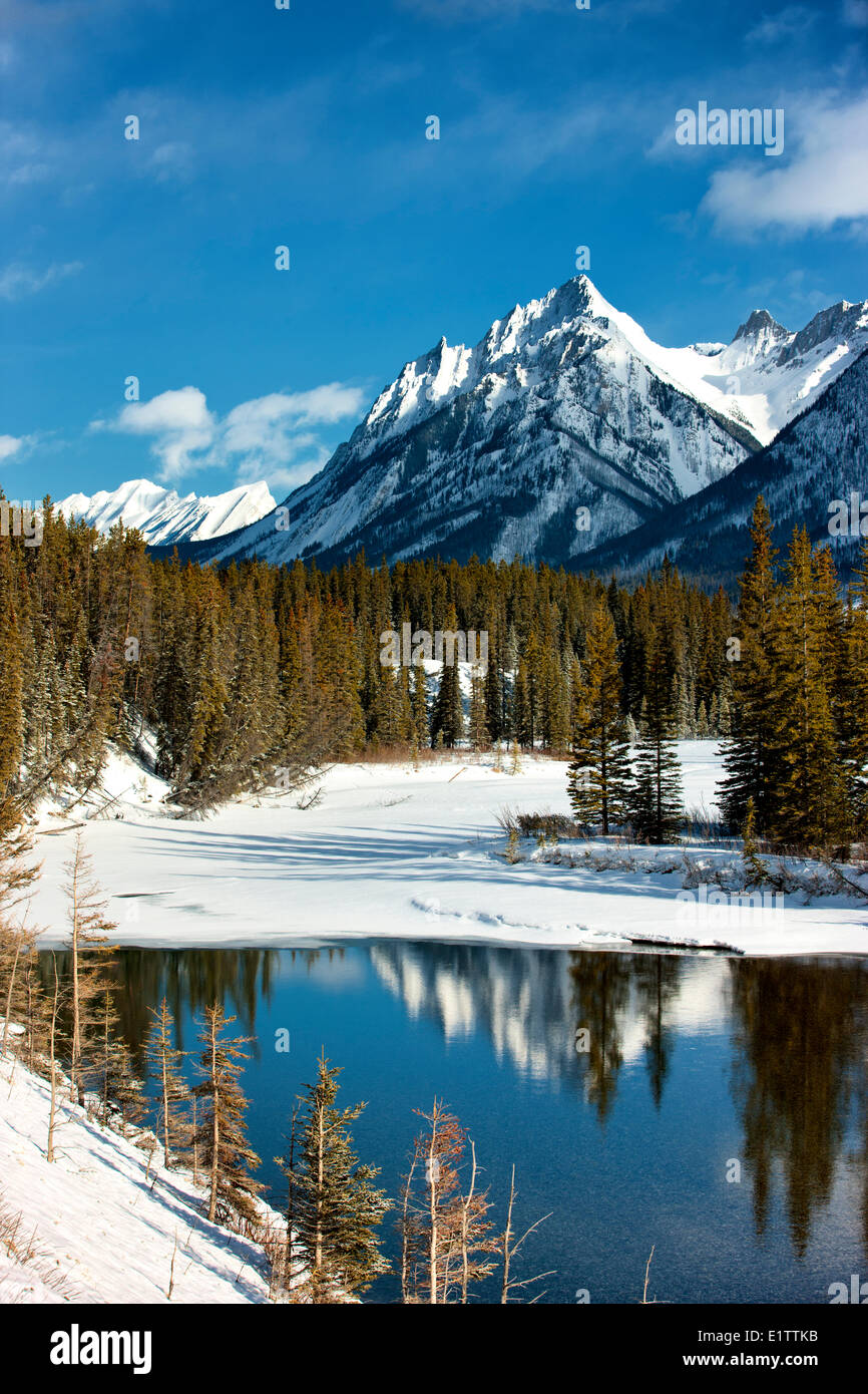 Bow River with Sawback mountain Range in background, Banff National Park, Alberta, Canada Stock Photo