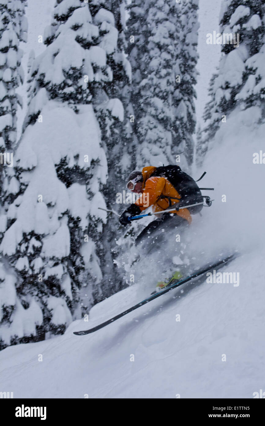 A male backcoutry skier skiing deep powder at Roger's Pass, Glacier National Park, BC Stock Photo