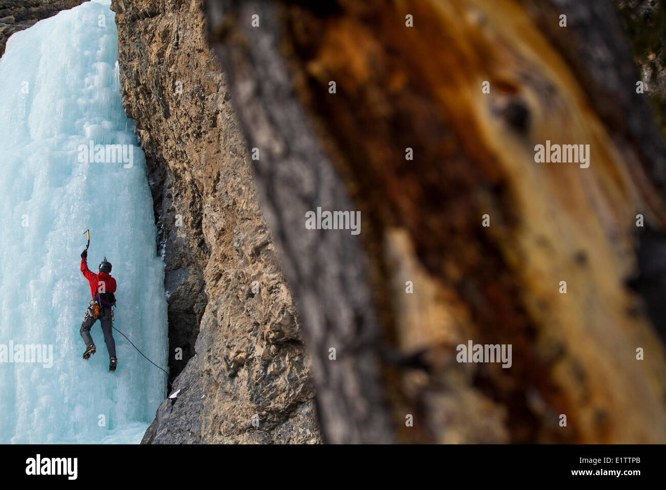 A male ice climber on Dream On WI 4, Red Deer River, AB Stock Photo