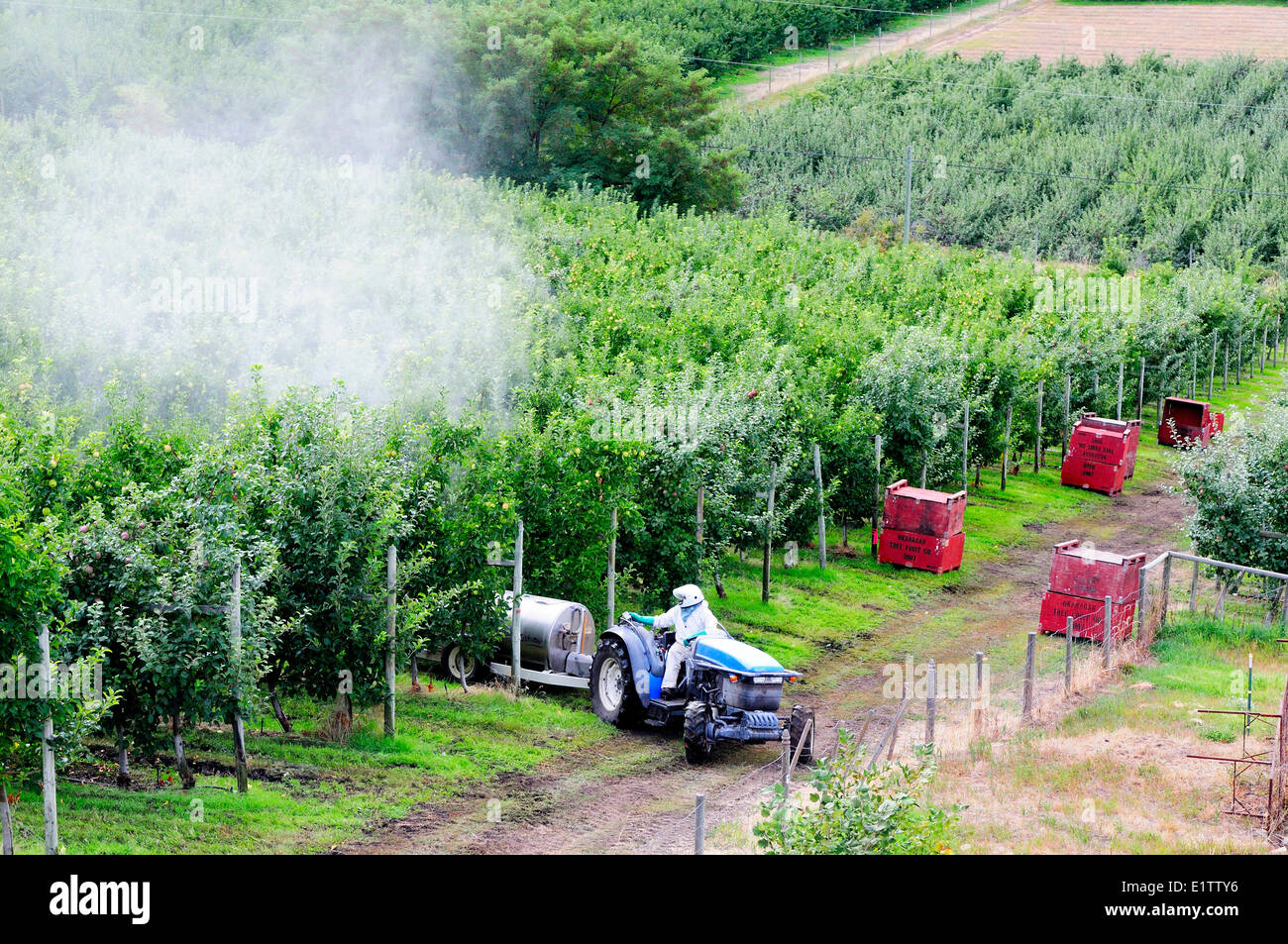 Spraying an apple orchard in Lake Country, BC, (near Kelowna, BC.) Stock Photo