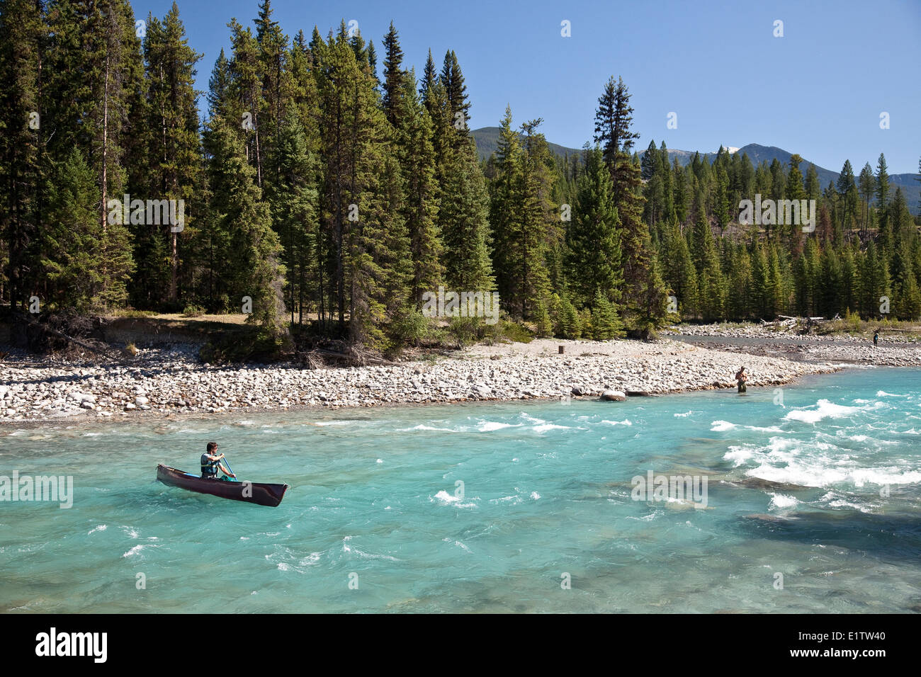 Young man paddles canoe solo on Kootenay River, Kootenay National Park, BC, Canada Stock Photo