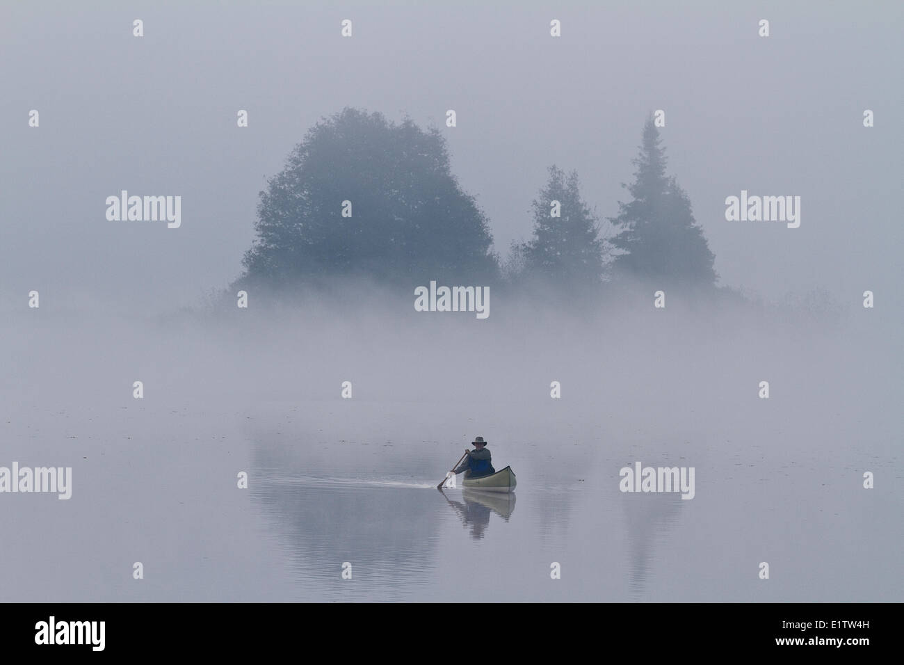 Man paddles solo canoe on Oxtongue Lake, Muskoka, Ontario. Stock Photo