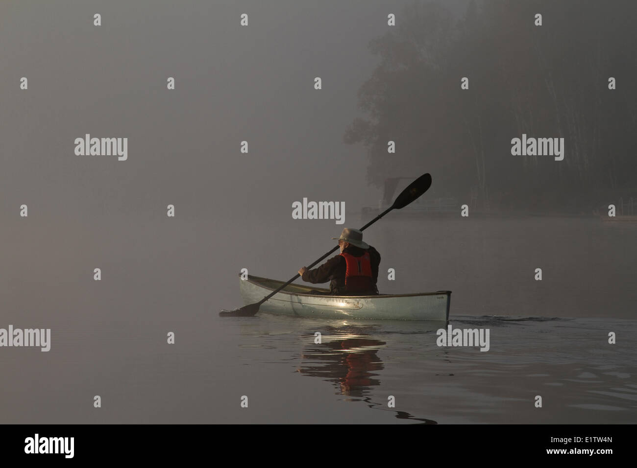 Man paddles solo canoe on Oxtongue Lake, Muskoka, Ontario Stock Photo