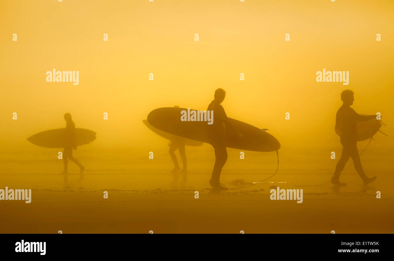 Silhouette of surfers in the fog, Long Beach, Pacific Rim National Park, Vancouver Island, British Columbia, Canada Stock Photo